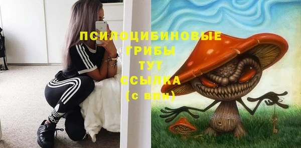 гидра Белокуриха