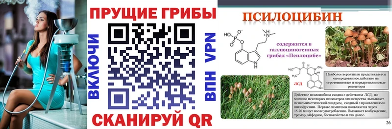 Галлюциногенные грибы GOLDEN TEACHER  наркошоп  Калининец 